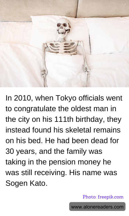 General Knowledge Learning Cards