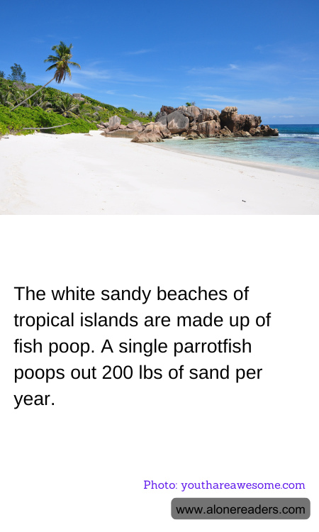 General Knowledge Learning Cards