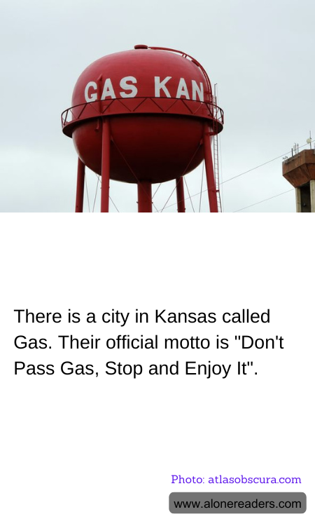 General Knowledge Learning Cards