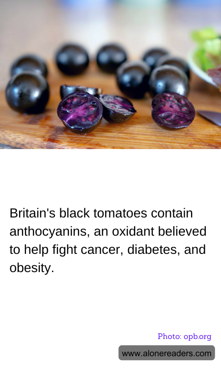 General Knowledge Learning Cards