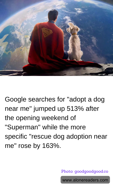 General Knowledge Learning Cards