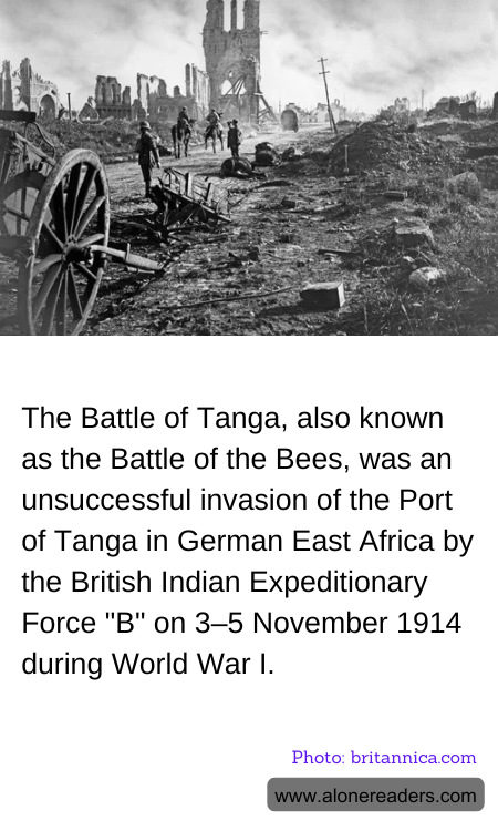 General Knowledge Learning Cards