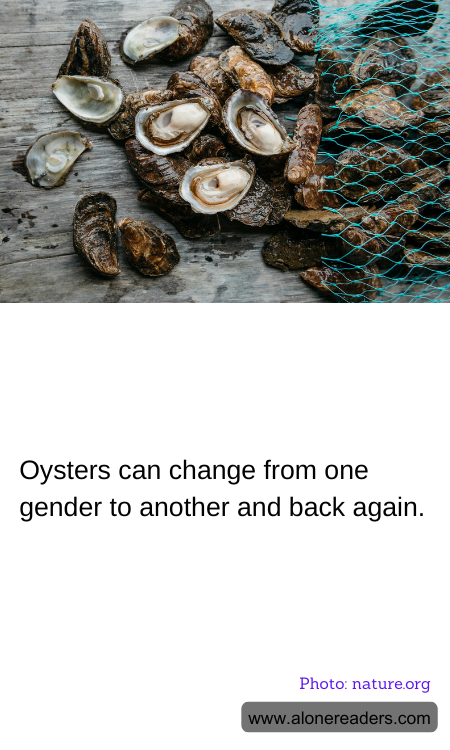 General Knowledge Learning Cards