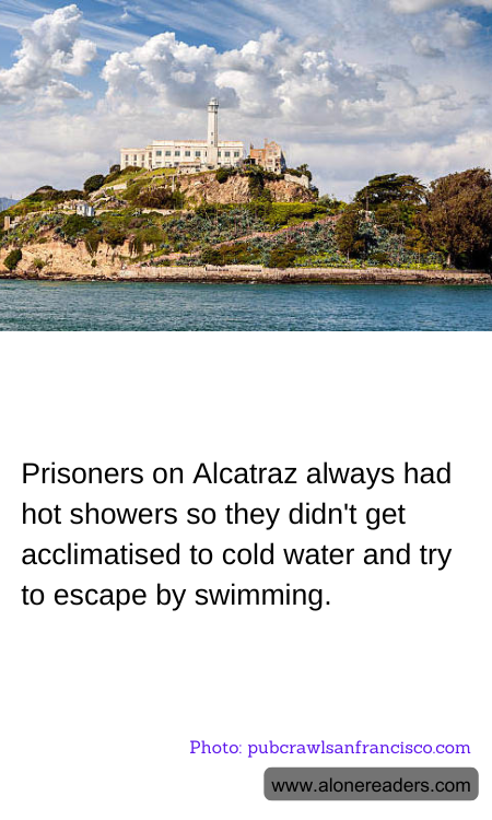 General Knowledge Learning Cards