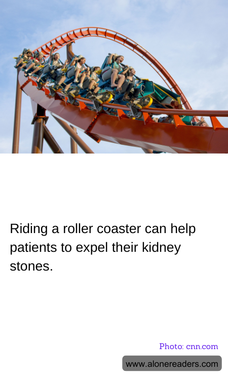 General Knowledge Learning Cards