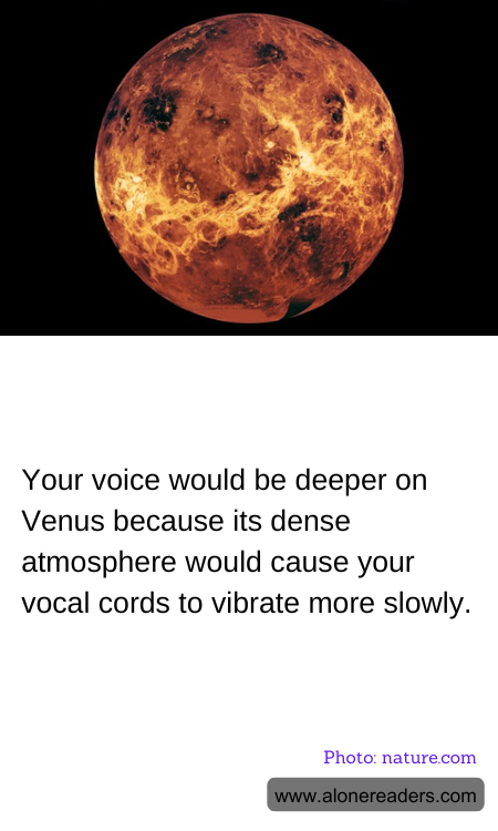 General Knowledge Learning Cards