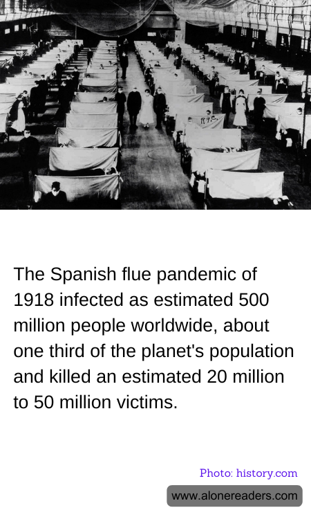 General Knowledge Learning Cards