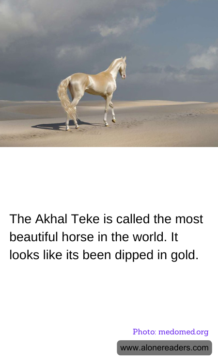 General Knowledge Learning Cards