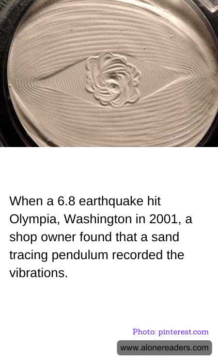 General Knowledge Learning Cards