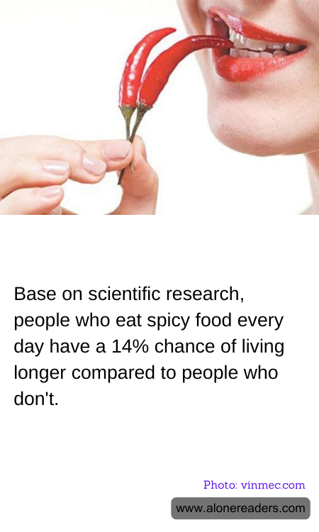 General Knowledge Learning Cards