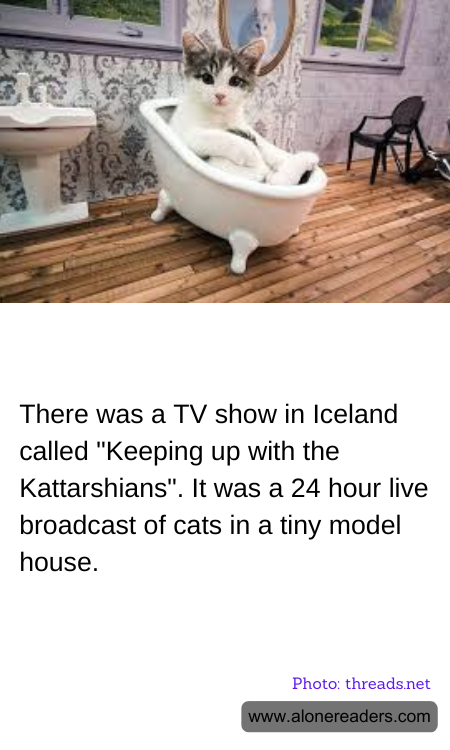 General Knowledge Learning Cards