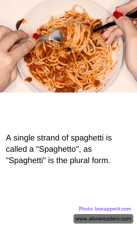 General Knowledge Learning Cards