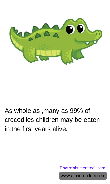 General Knowledge Learning Cards