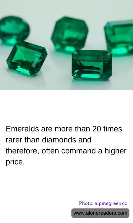 General Knowledge Learning Cards