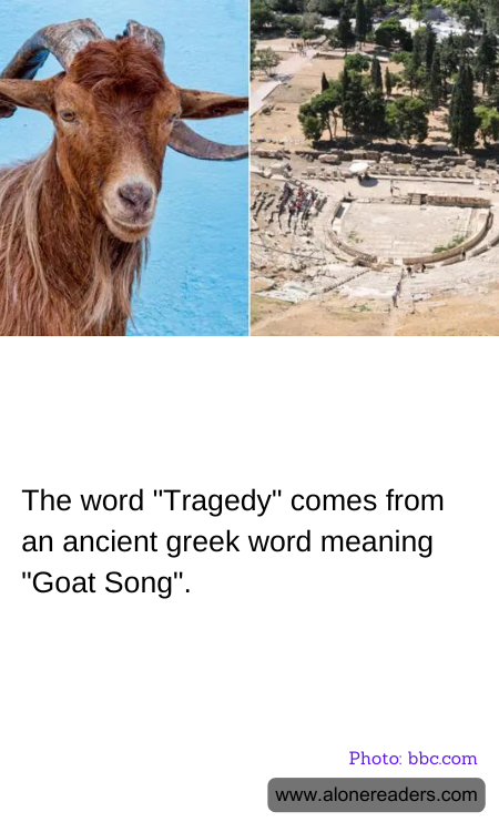 The word "Tragedy" comes from an ancient greek word meaning "Goat Song".