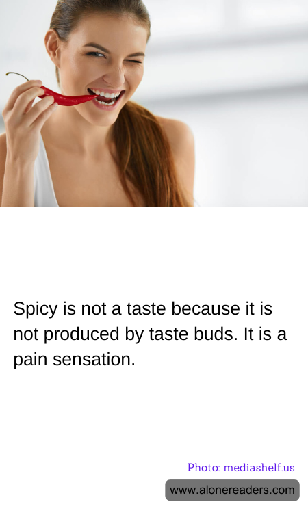 General Knowledge Learning Cards