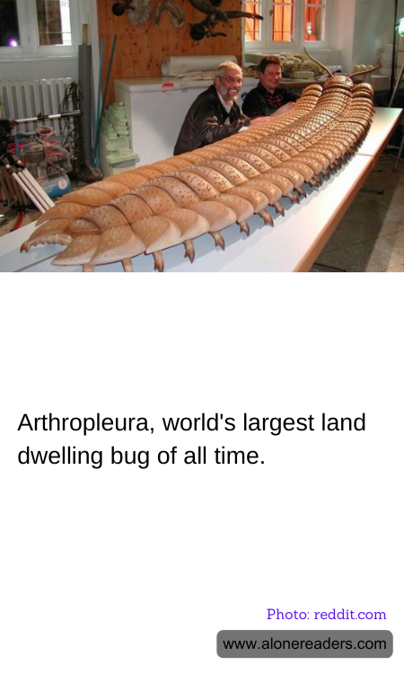 General Knowledge Learning Cards