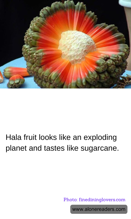 General Knowledge Learning Cards