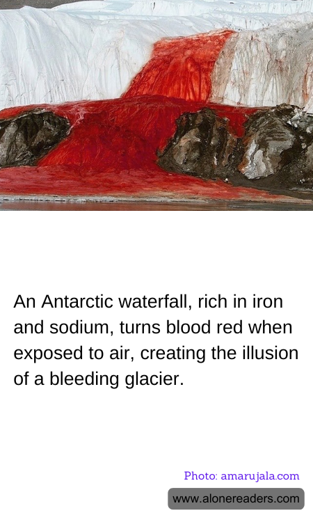 General Knowledge Learning Cards