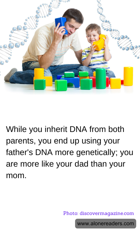 General Knowledge Learning Cards