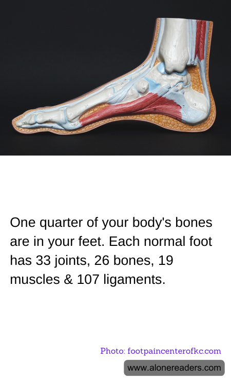General Knowledge Learning Cards