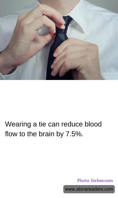 General Knowledge Learning Cards