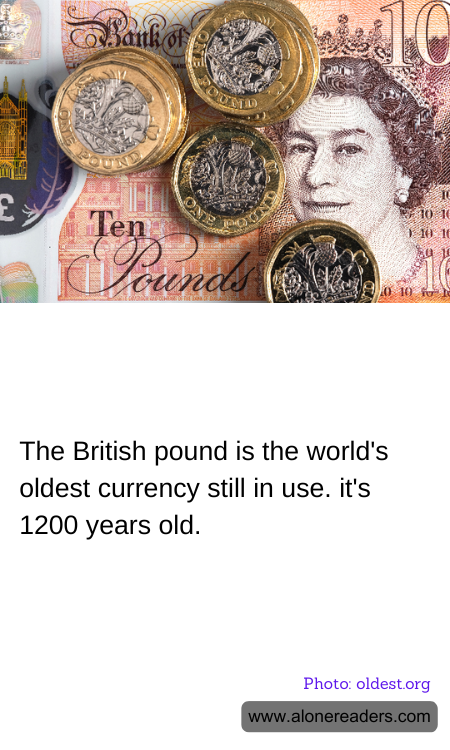 General Knowledge Learning Cards