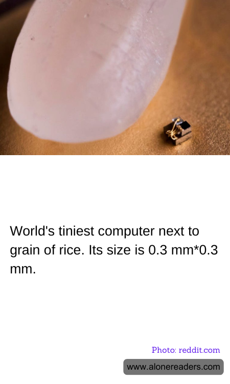 General Knowledge Learning Cards