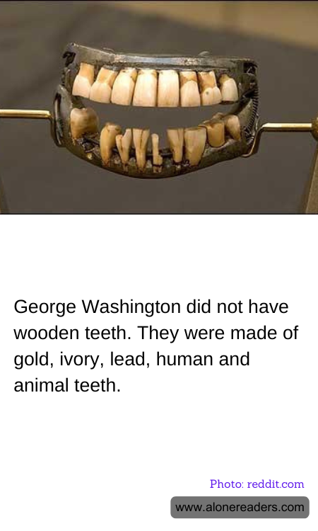 George Washington did not have wooden teeth. They were made of gold, ivory, lead, human and animal teeth.