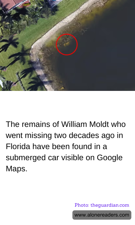 General Knowledge Learning Cards