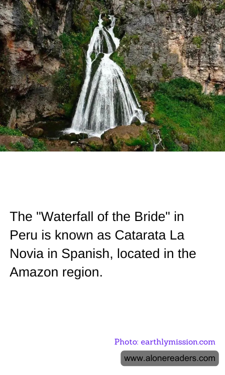 General Knowledge Learning Cards