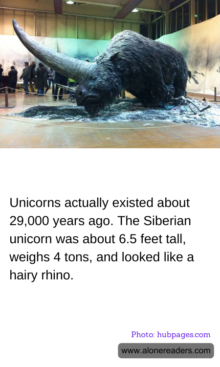 General Knowledge Learning Cards