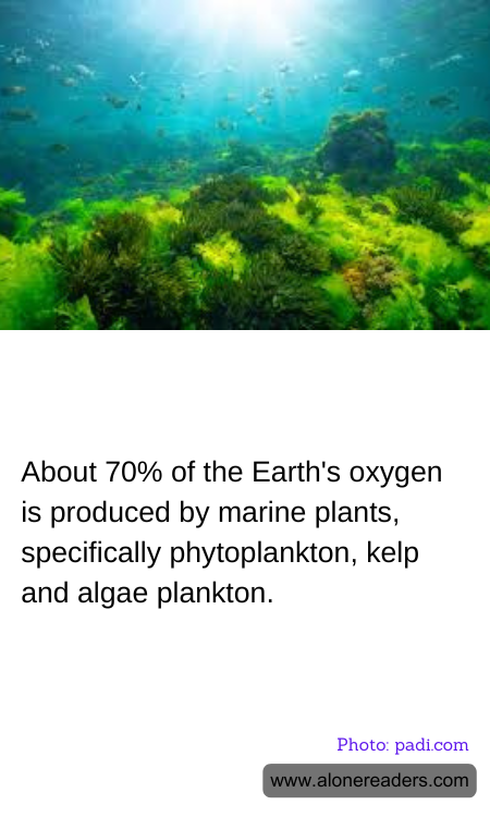 General Knowledge Learning Cards