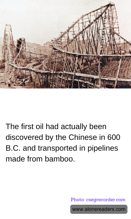 General Knowledge Learning Cards