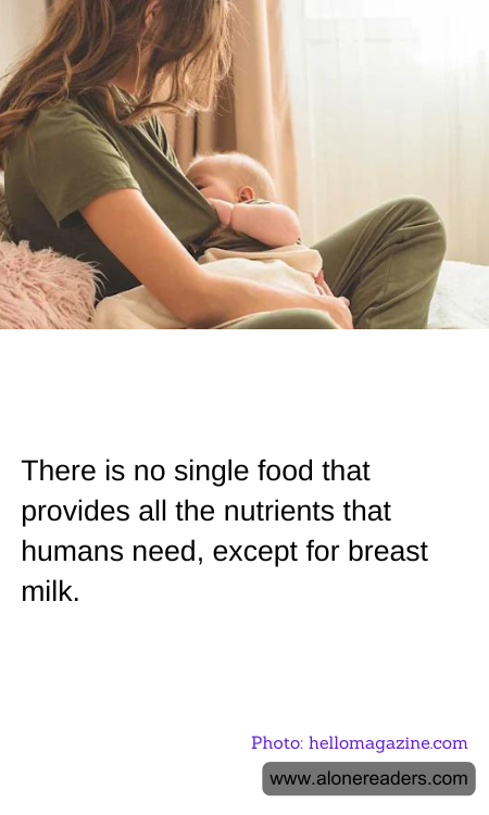 General Knowledge Learning Cards