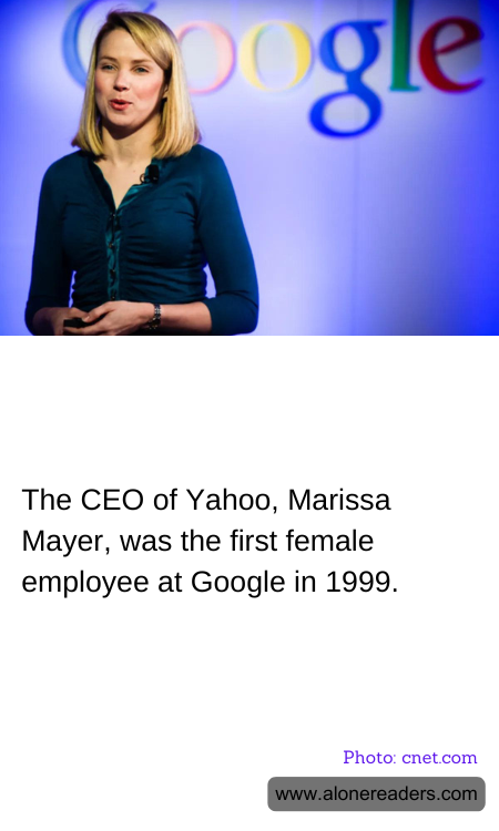 General Knowledge Learning Cards