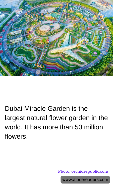 General Knowledge Learning Cards