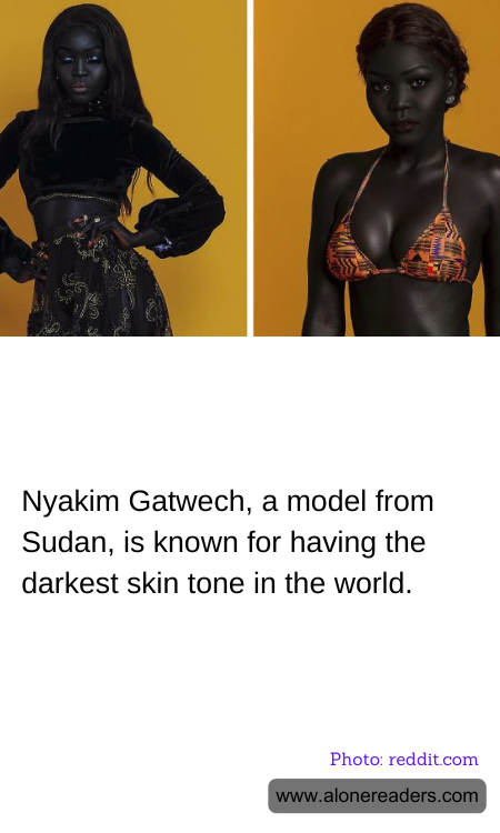 General Knowledge Learning Cards