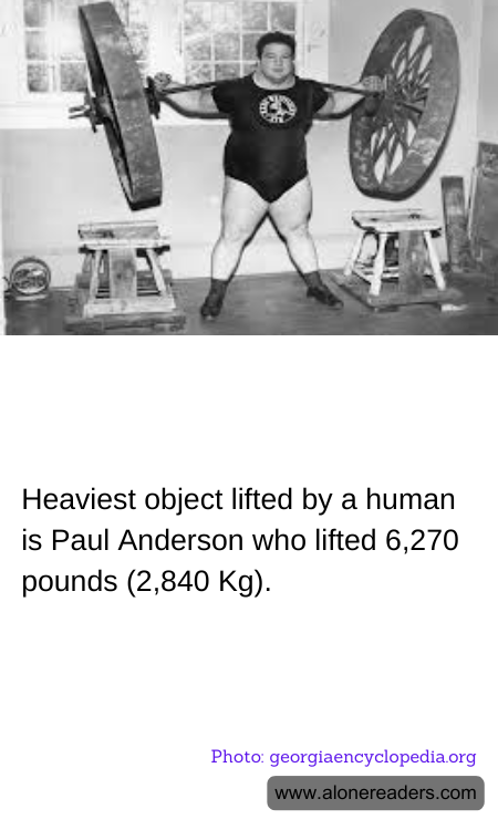 General Knowledge Learning Cards