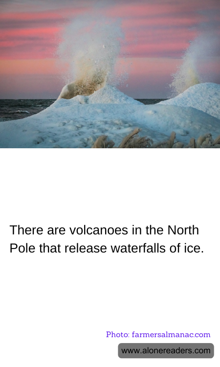 General Knowledge Learning Cards