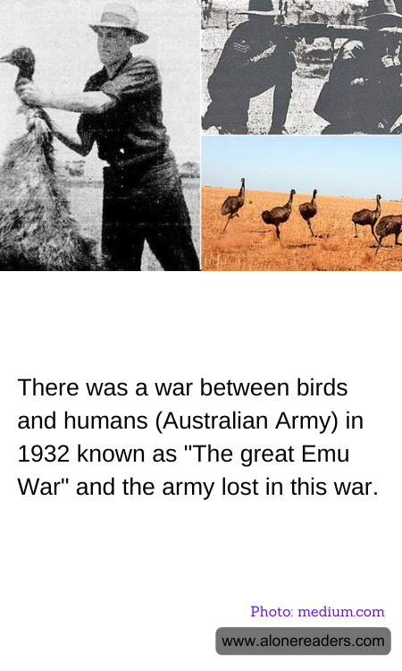 General Knowledge Learning Cards