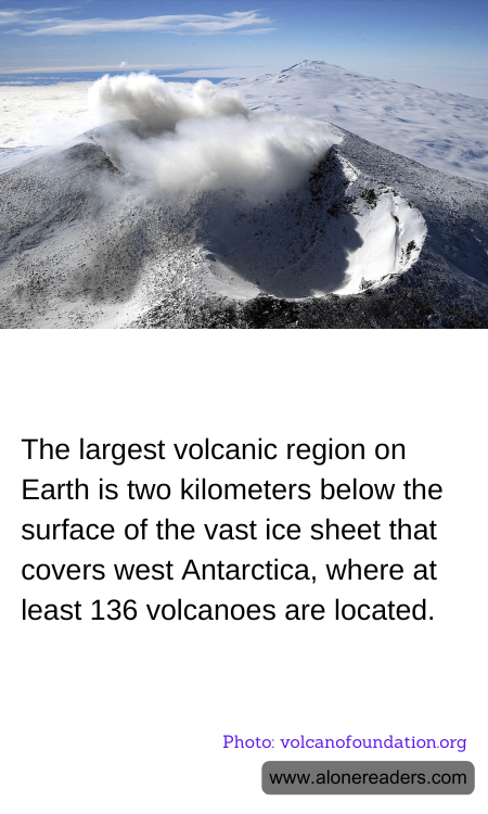 General Knowledge Learning Cards