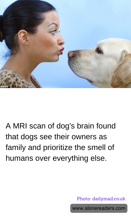 General Knowledge Learning Cards