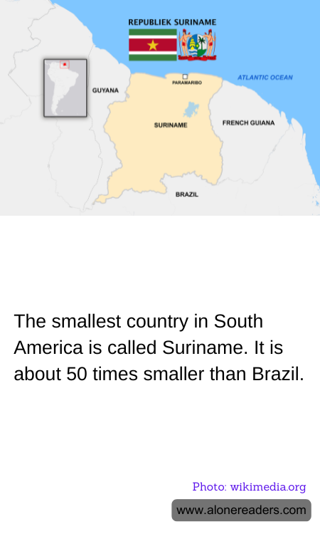 General Knowledge Learning Cards