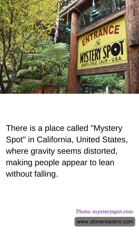There is a place called "Mystery Spot" in California, United States, where gravity seems distorted, making people appear to lean without falling.
