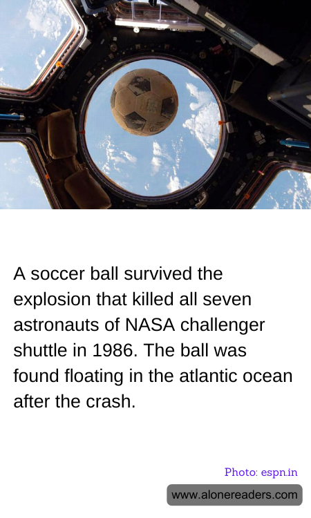 General Knowledge Learning Cards