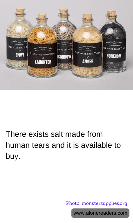 General Knowledge Learning Cards