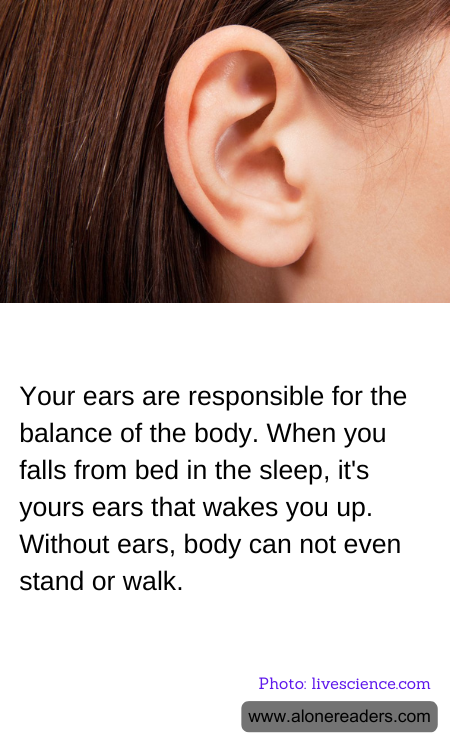 General Knowledge Learning Cards