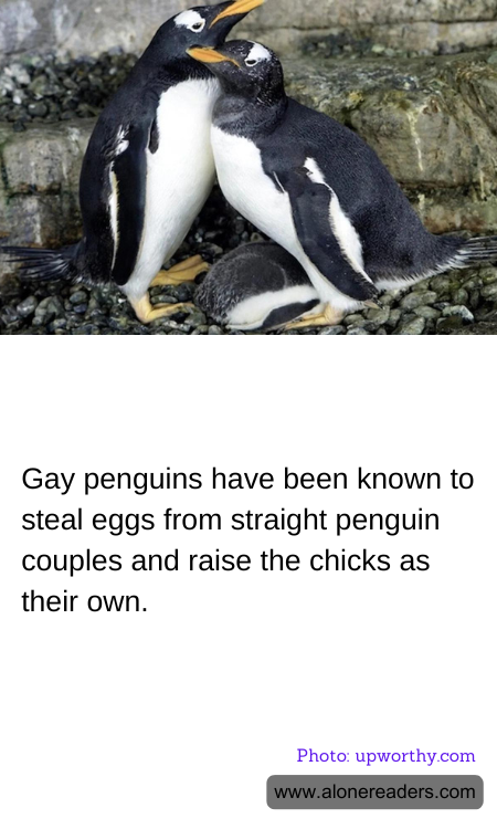 General Knowledge Learning Cards