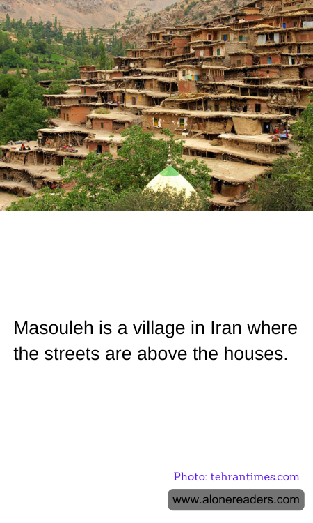 General Knowledge Learning Cards